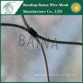 China baina export high-class quality stainless steel wire fence